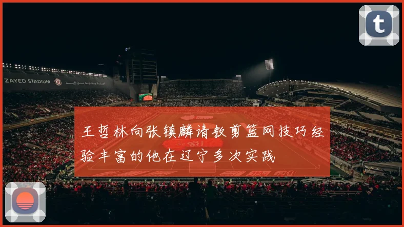 王哲林向张镇麟请教剪篮网技巧经验丰富的他在辽宁多次实践