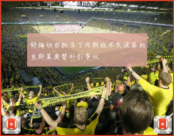 舒梅切尔批马丁内斯战术失误菲利克斯莱奥替补引争议